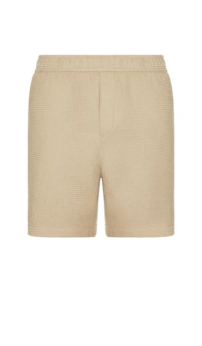 Paige Chaimers Short In Brown
