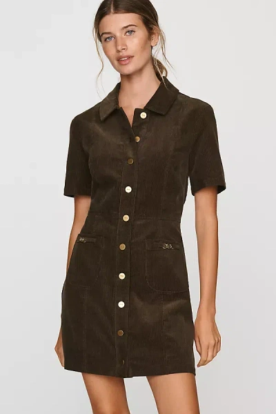 Paige Clementine 100% Cotton Mini Dress In Green