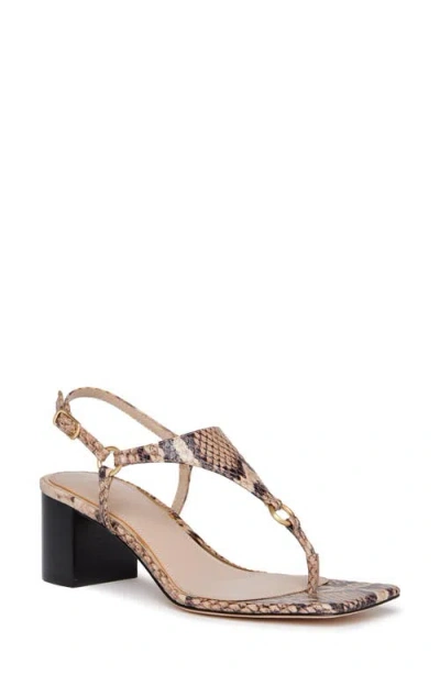 Paige Elara Ankle Strap Sandal In Multi