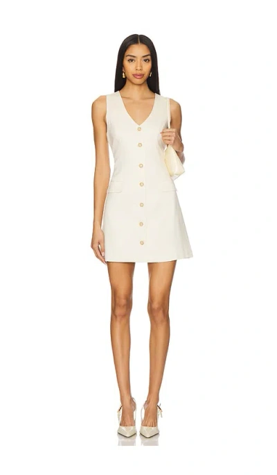 PAIGE WELLS DRESS