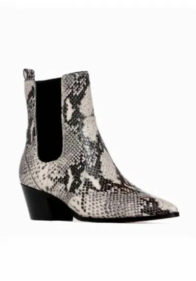 Paige Willa Chelsea Bootie In Roccia Snake In Grey