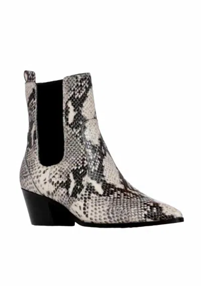 Paige Women's Willa Snake Ankle Boot In Roccia In Multi