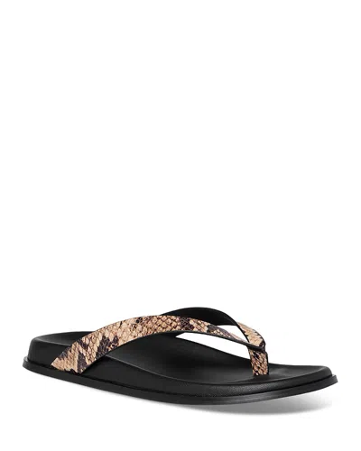 Paige Zadie Sandal In Black