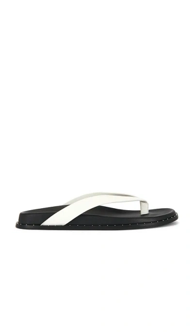 Paige Zadie Sandal In Black