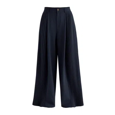 Paisie Women's Blue High Waisted Wide Leg Tailored Trousers With Pleated Side Panels In Navy In Black
