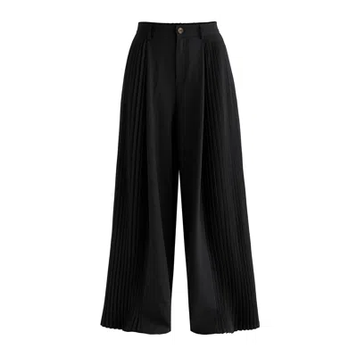 Paisie Women's High Waisted Wide Leg Tailored Trousers With Pleated Side Panels In Black