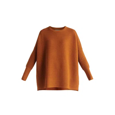 Paisie Women's  Ribbed Jumper In Brown