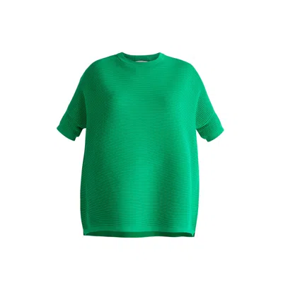 Paisie Women's  Short Sleeve Ribbed Jumper In Green