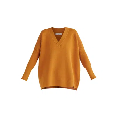 Paisie Women's  V-neck Ribbed Jumper In Yellow In Gold