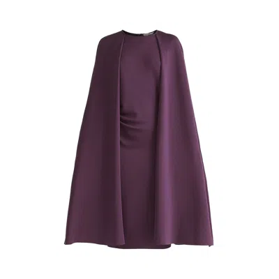 Paisie Women's Pink / Purple Cape Sleeves Dress With Waist Details In Midnight Plum In Pink/purple