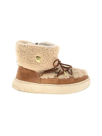 Pre-owned Pajar Ankle Boots In Brown