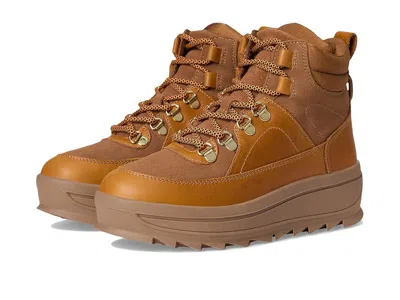 Pajar Canada Galpina In Brown