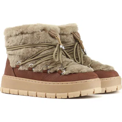 Pajar Cyra Faux Shealing Waterproof Bootie In Taupe/dark Brown