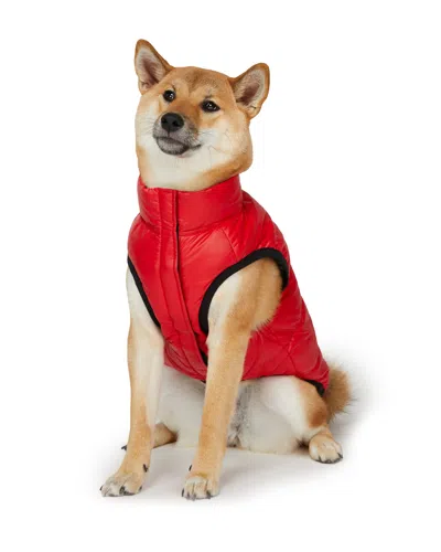 Pajar Skana  Pup Channel Quilted Coat With Collar In Red