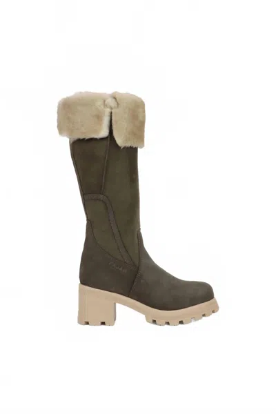 Pajar Women's Avila Suede Boots In Rustic In Multi