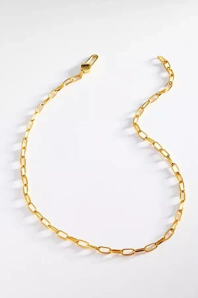 Pajarolimon Chain Necklace In Gold
