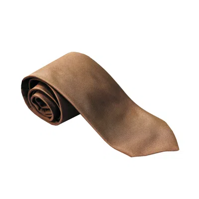 Pal Zileri Brown Solid Silk Tie