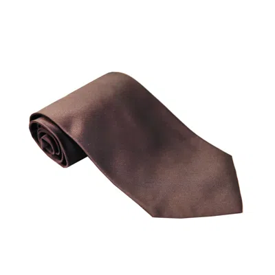 Pal Zileri Brown Solid Silk Tie