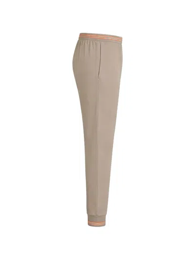Pal Zileri Stripe-trim Track Pants In Brown