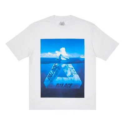 Palace Berg-ferg T-shirt 'grey' In White