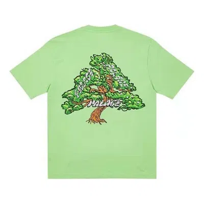 Palace Bonsai T-shirt 'pistachio' In Green