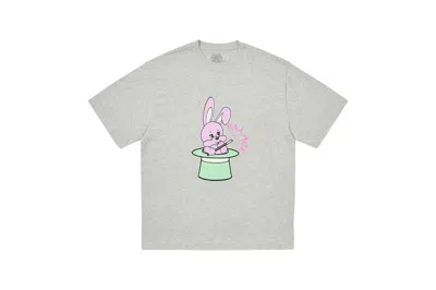Pre-owned Palace Bunny T-shirt (ss25) Grey Marl