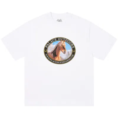 Pre-owned Palace Equestrian T-shirt 'white' | Men's Size Xl