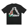 Palace Fw20 Parrot -3 T-shirt Logo Alphabet Triangle Printing Short Sleeve Unisex Black In Black