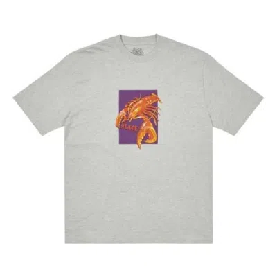Palace Fw22 Thermadore T-shirt 'grey' In Gray