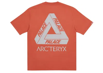 Pre-owned Palace Men's  Arc'teryx T-shirt In Ochre In Brown