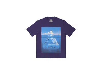 Pre-owned Palace Men's  Bergferg T-shirt In Purple