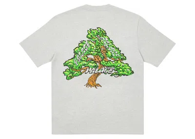 Pre-owned Palace Men's  Bonsai T-shirt In Grey Marl In Gray