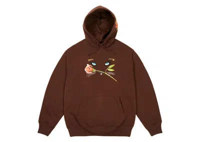 Pre-owned Palace Men's  Cat Eyes Hoodie In Nice Brown