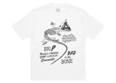 Pre-owned Palace Men's  Chomper T-shirt In White