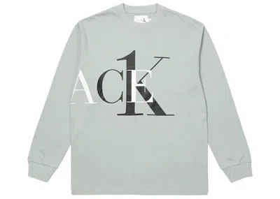 Pre-owned Palace Men's  Ck1 Longsleeve In Quarry In Gray