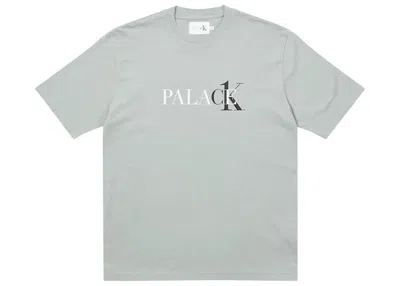 Pre-owned Palace Men's  Ck1 T-shirt In Quarry In Gray