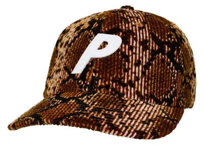 Pre-owned Palace Men's  Corduroy P Pal Hat In Snake Print In Animal Print