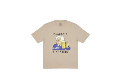 Pre-owned Palace Men's  Eine Stein T-shirt In Mushroom In Brown