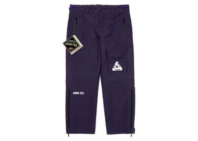 Pre-owned Palace Men's  Goretex The Don Pant In Deep Purple