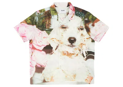 Pre-owned Palace Men's  Juergen Teller Shirt In Multi