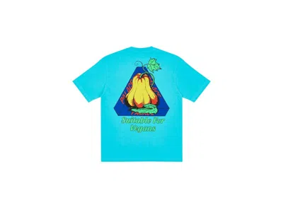 Pre-owned Palace Men's  Nein Cheese Nein Egg T-shirt In Blue