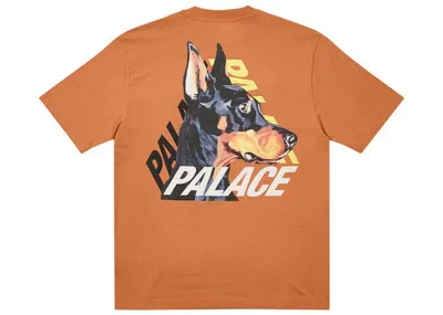 Pre-owned Palace Men's  P3k9 T-shirt In Caramel
