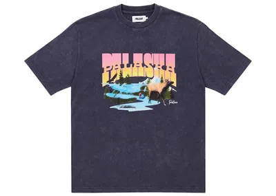 Pre-owned Palace Men's  Palaska Dye T-shirt In Purple