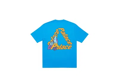 Pre-owned Palace Men's  Parrot 3 T-shirt In Blue