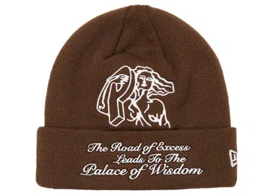 Pre-owned Palace Men's  Pstatue New Era Beanie In Brown