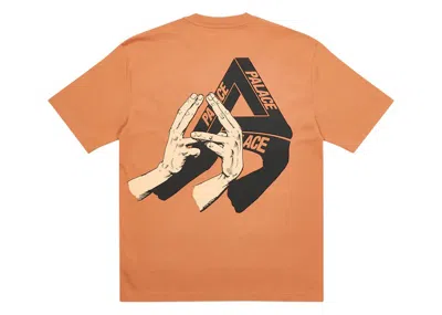 Pre-owned Palace Men's  Valley Of The Shadows T-shirt In Caramel
