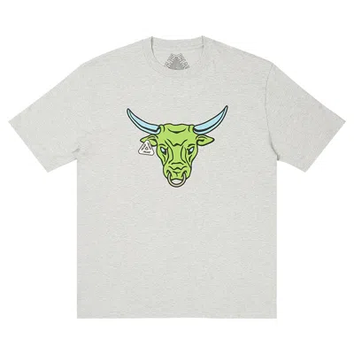 Pre-owned Palace Nobul T-shirt 'grey Marl' | Men's Size Xxl In Gray