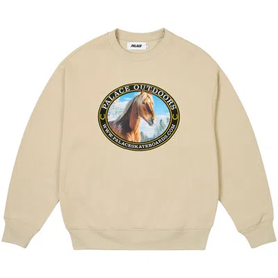 Pre-owned Palace Outdoors Crew 'stoney Grey' | Men's Size M In Gray
