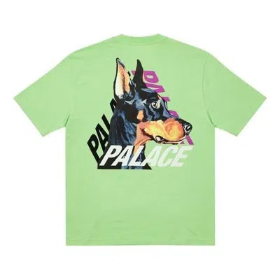 Palace P-3-k-9 T-shirt 'pistachio'