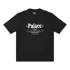 Palace Pallissimo T-shirt 'black'